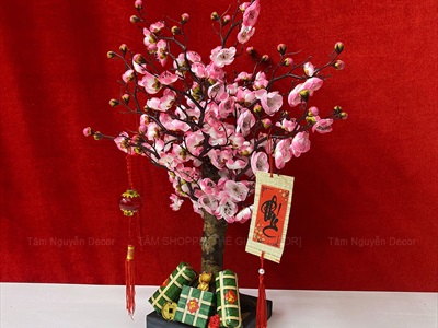 Cây Mai Đào thân gỗ để bàn [Tỉ mỉ - Nhẹ] C50cm CAYCANH-TET-01